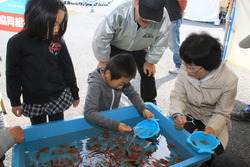 金魚すくい