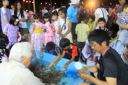 画像：大藤学区盆踊りの金魚すくい