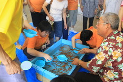 写真：金魚すくいのようす