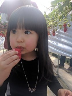 写真：くりもとあんちゃん