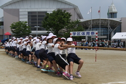 画像：綱引きの様子