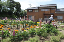 画像：花壇の世話をする五之三川平美化サークルの方々