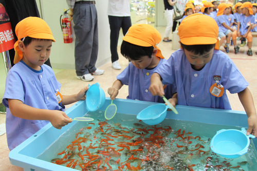 画像：金魚すくいに挑戦する所児