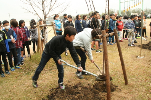 画像：「人権の桜」を植樹する児童ら