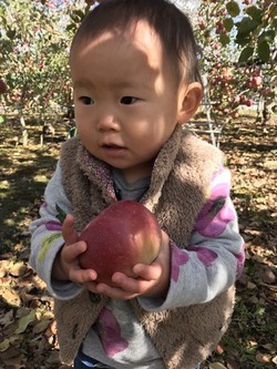 写真：はやしゆのちゃん