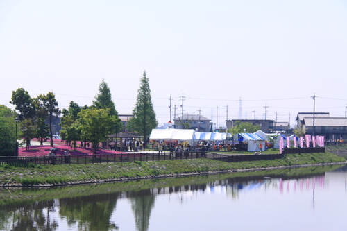 画像：芝桜まつり開催しました！