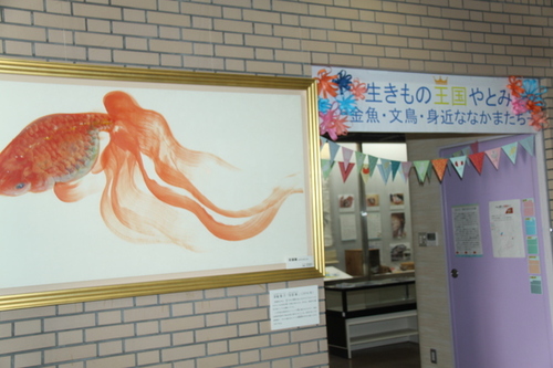 画像：企画展「生きもの王国やとみ」が開催されています