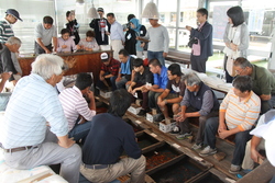 画像：弥富金魚の競（せり）を見学する刈谷市の皆さん