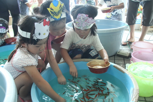 写真：金魚すくいにチャレンジしました