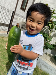 写真：しまばやしりょうや