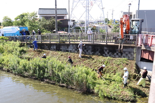 写真：三ツ又池公園環境美化活動