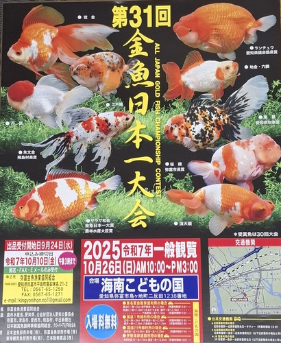 金魚日本一大会