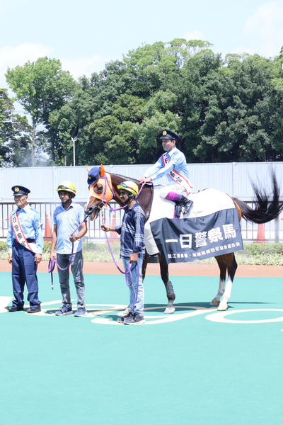 写真：現役最高齢馬ヒカルアヤノヒメ号を1日警察馬に委嘱するなどした防犯キャンペーンが開催されました