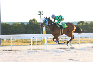 写真：現役最高齢馬ヒカルアヤノヒメ号を1日警察馬に委嘱するなどした防犯キャンペーンが開催されました