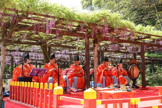 写真：藤見の会