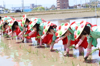 写真：第131回愛知県農業祭献穀事業お田植祭