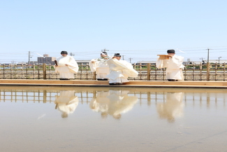 第131回愛知県農業祭献穀事業お田植祭