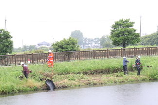 三ツ又池公園環境美化活動