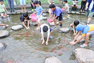 夏まつりやとみ金魚まつり