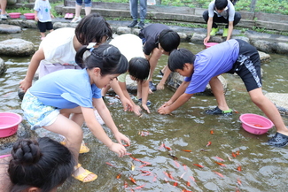 夏まつりやとみ金魚まつり