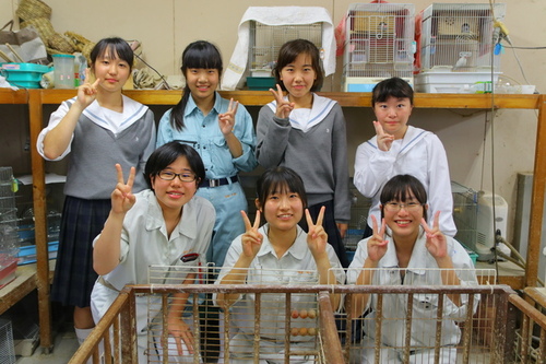 写真：佐屋高校生物生産科アニマルコース（愛玩動物専攻）の皆さんにインタビュー