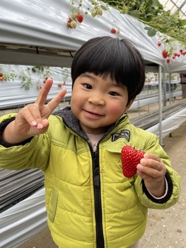 写真：しまばやしはるきちゃん