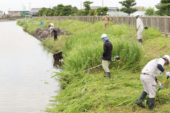 三ツ又池公園環境美化活動