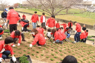 三ツ又池公園植樹祭