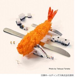 FRY　to　RLY　Project