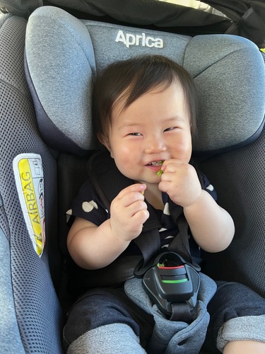 写真：はせがわ　こうだいちゃん
