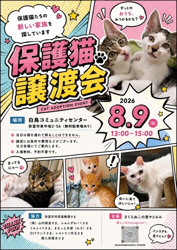 チラシ