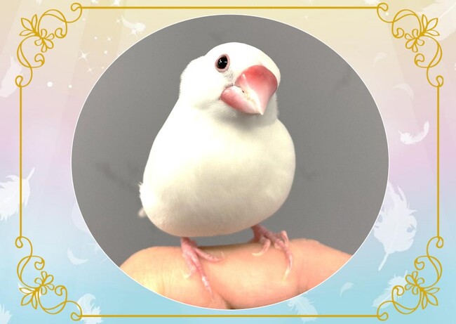 ぶんちゃん追悼回顧展