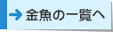 金魚の一覧へ