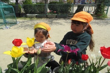 子育てアルバム in 保育所